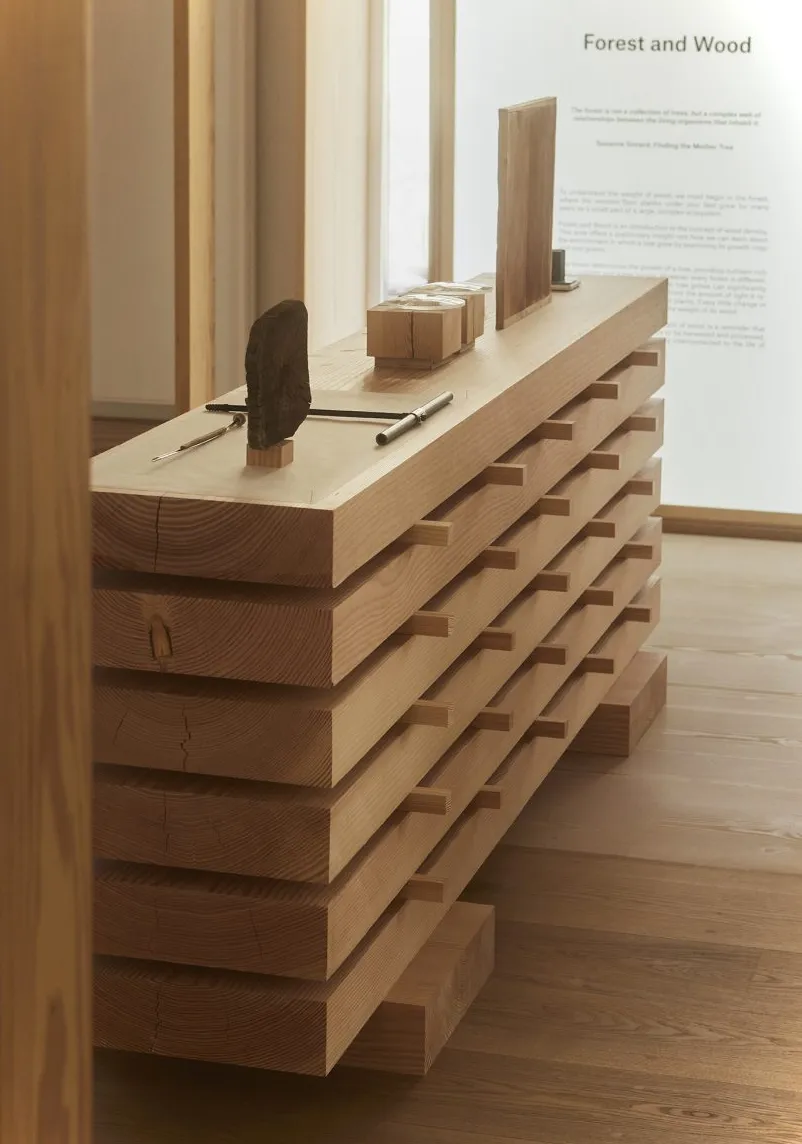 Foto de una instalación en la exposición El peso de la madera