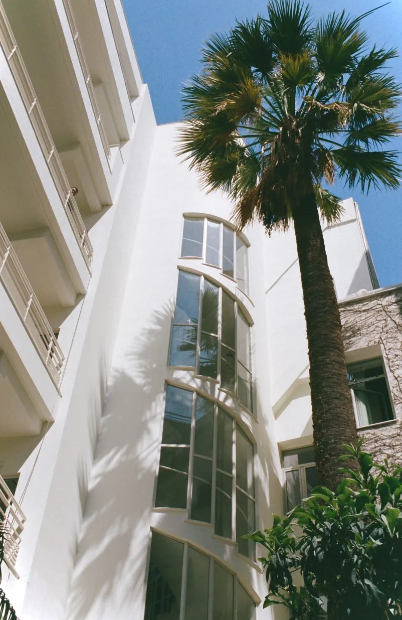 Exterior de edificio alto y blanco con una palmera