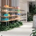 Boutique de belleza repleta de plantas en Montreal