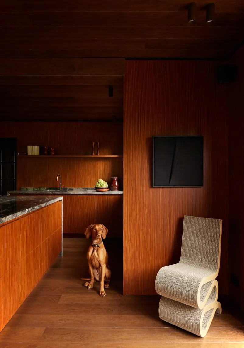 Interior de cocina de DAB Studio con paredes, pisos y gabinetes revestidos de madera