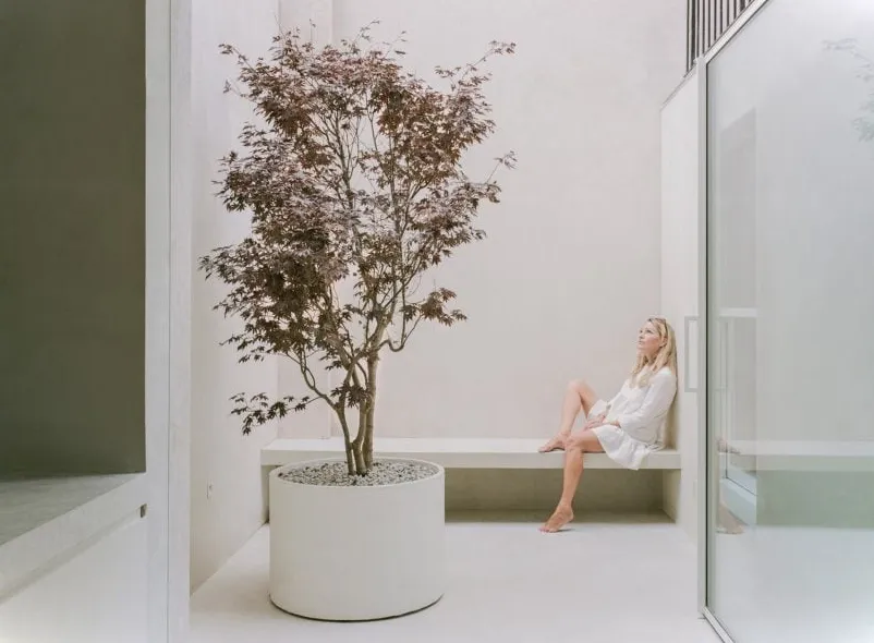 Un espacio interior con una puerta de cristal pivotante que da a un patio exterior blanco con un banco y un árbol en una maceta.